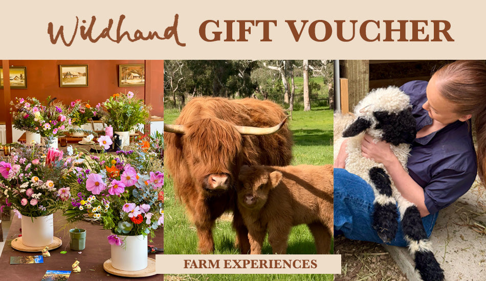 Gift Vouchers