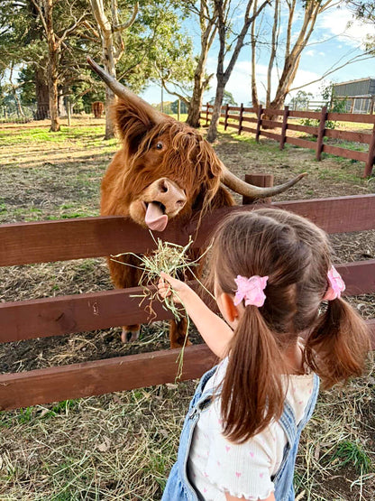 Woolly Wanderers - Kids Farm Workshop