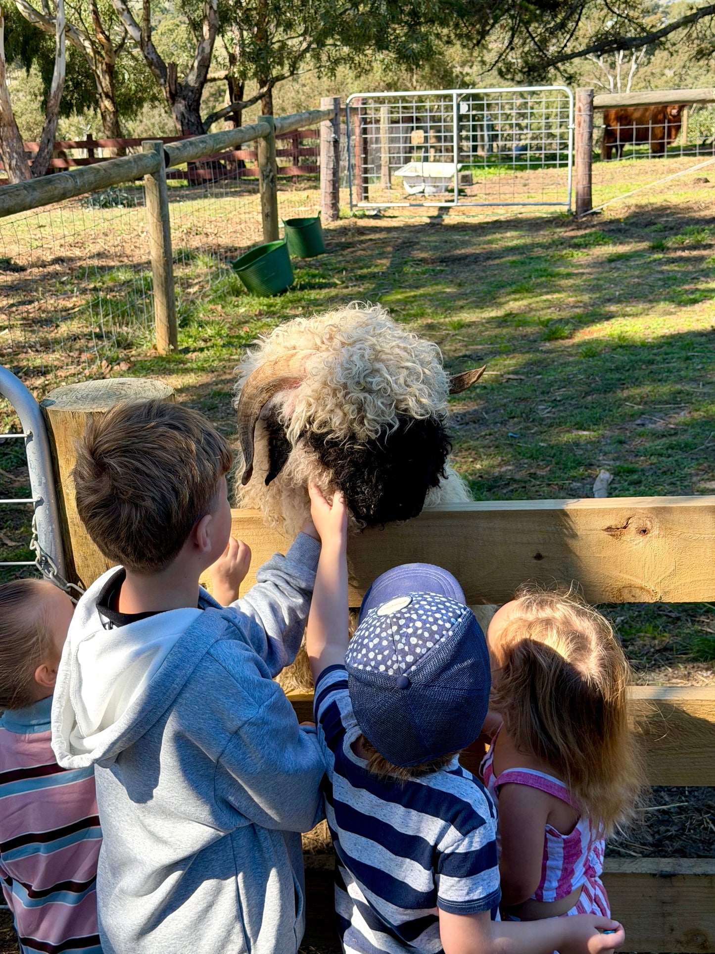 Woolly Wanderers - Kids Farm Workshop