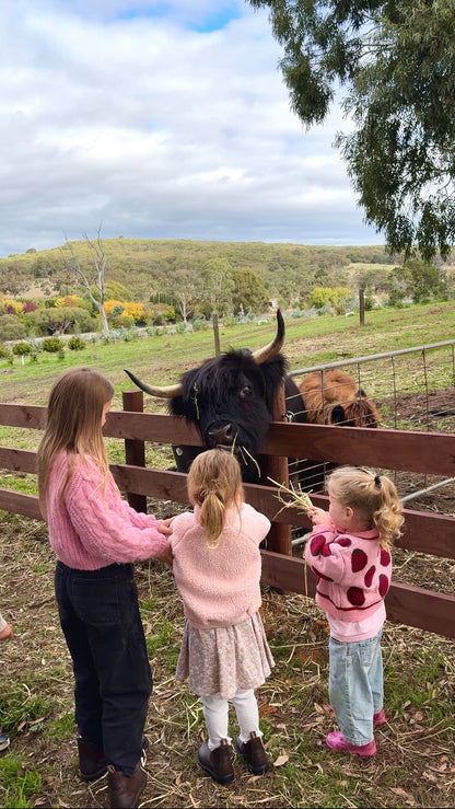 Woolly Wanderers - Kids Farm Workshop