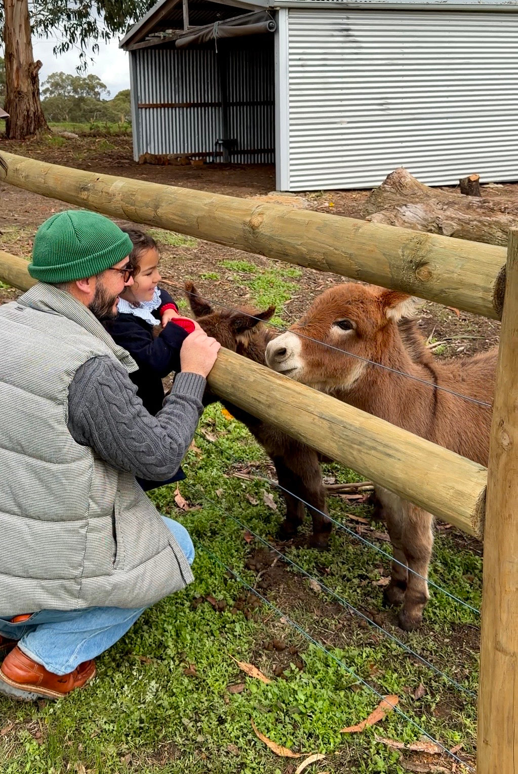 Woolly Wanderers - Kids Farm Workshop