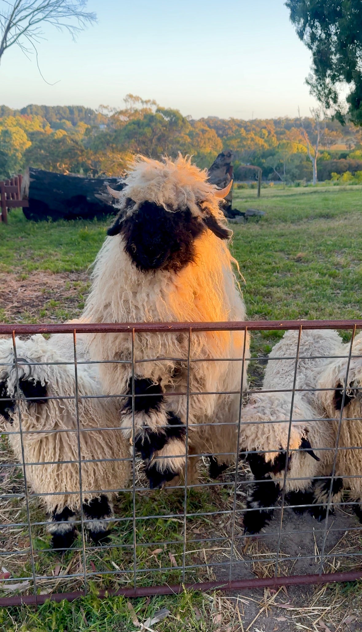 Flower Workshop with Full Farm Tour