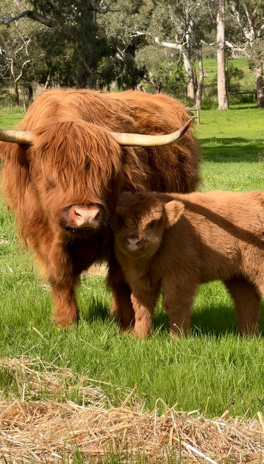 Private Farm Tour