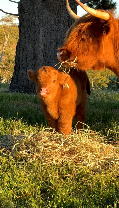 Flower Workshop with Full Farm Tour