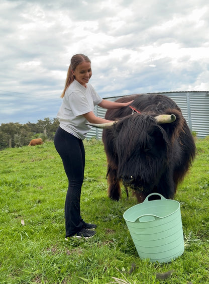 Highland Cow Experience - Private Farm Tour