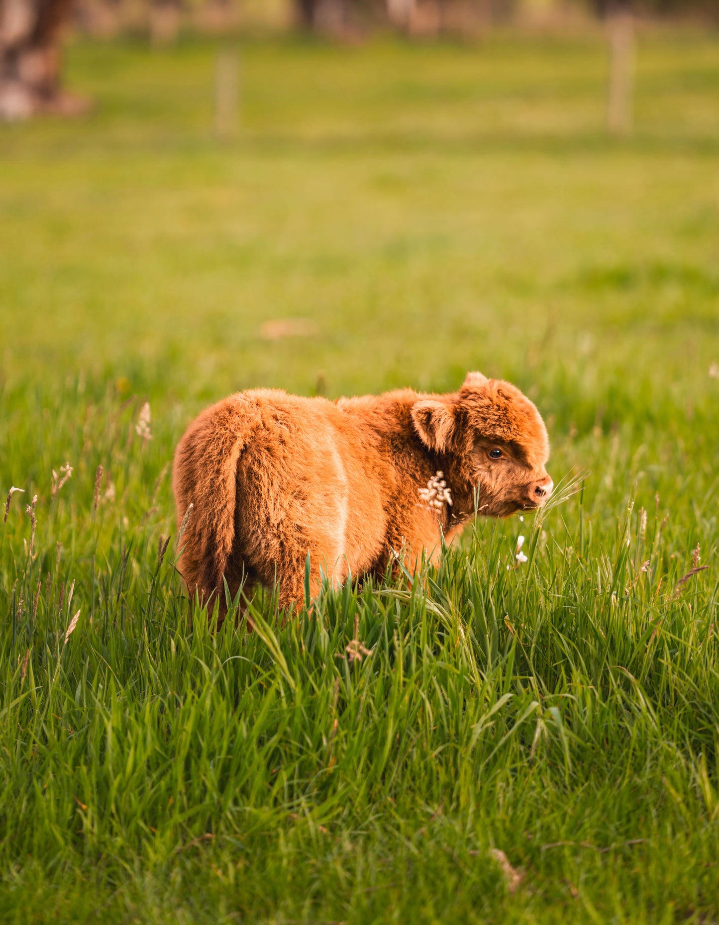 Summer Flower Workshop