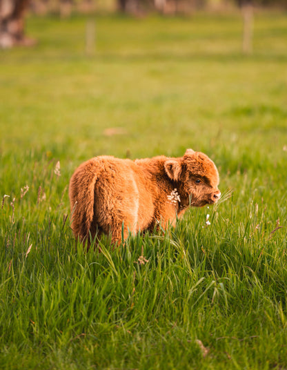 Summer Flower Workshop