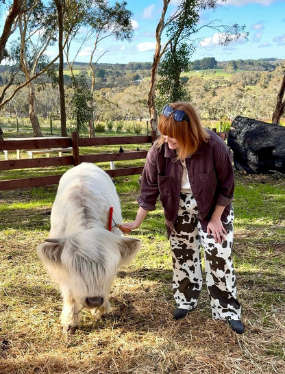 Highland Cow Experience