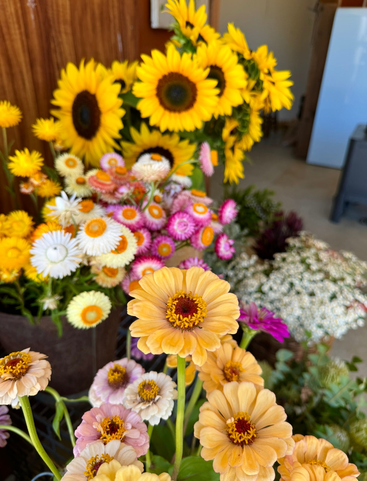 Regenerate with Wildhand - Summer Flower Workshop